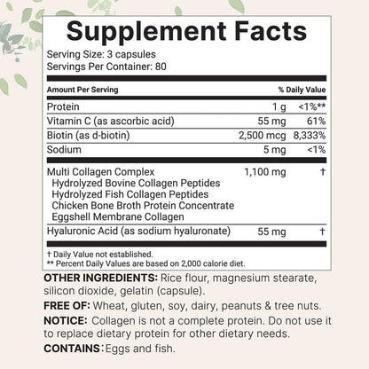 Micro Ingredients Multi Collagen Complex, 240 Capsules